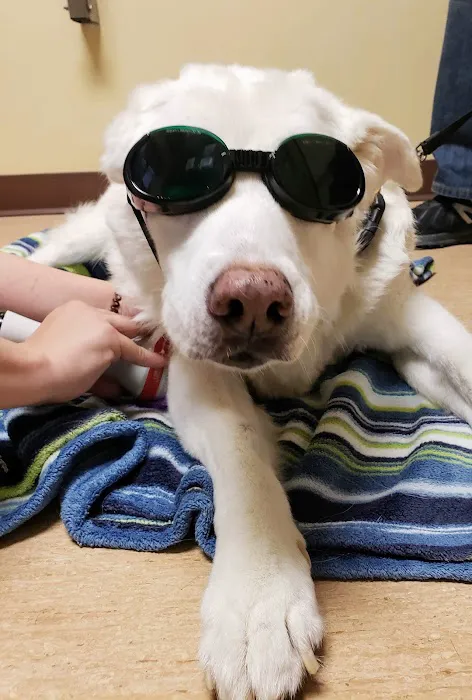 Companions First Vet Clinic 4