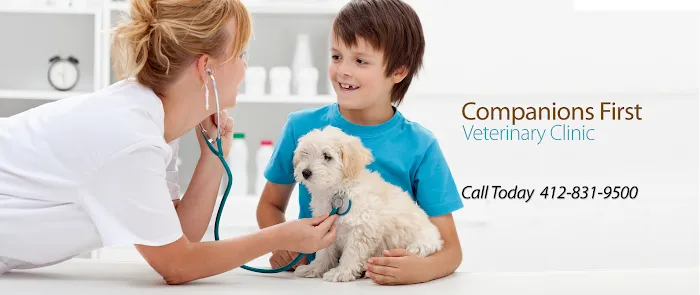 Companions First Vet Clinic 9