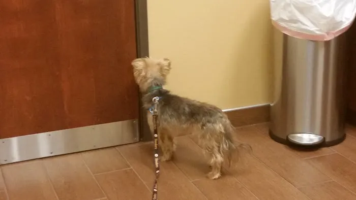 Affordable Care Vet Clinic 9
