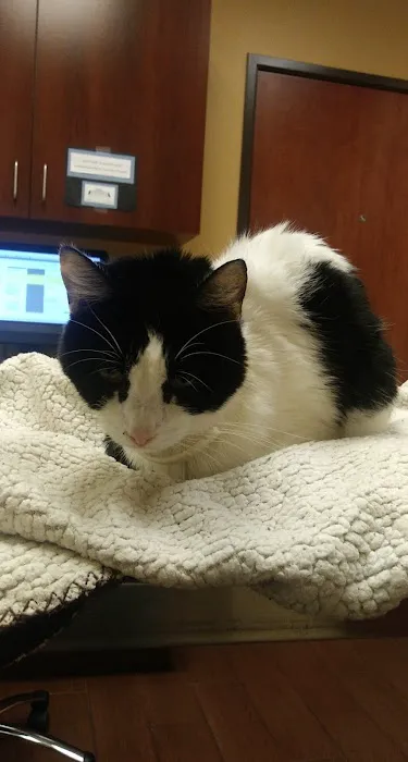 Affordable Care Vet Clinic 1