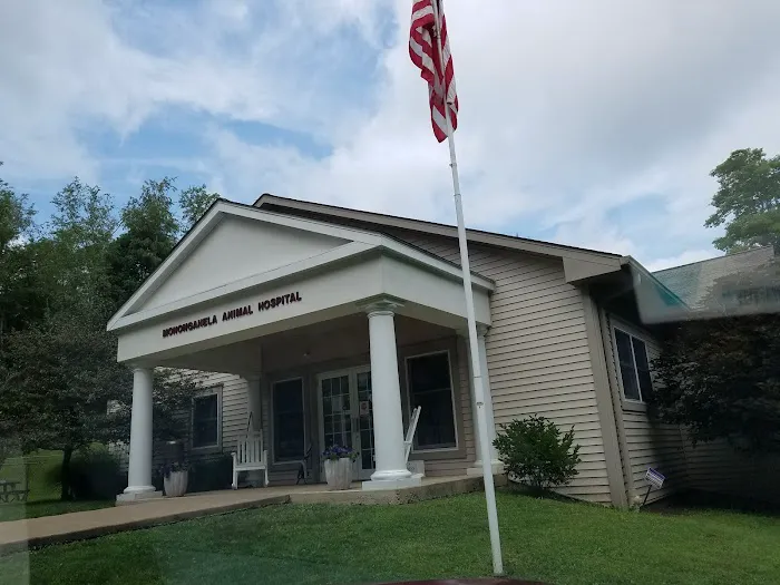 Monongahela Animal Hospital 5