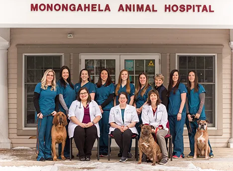 Monongahela Animal Hospital 7