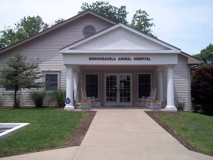 Monongahela Animal Hospital 1