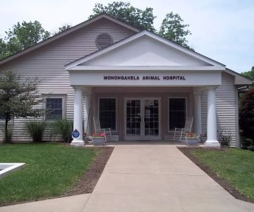 Monongahela Animal Hospital