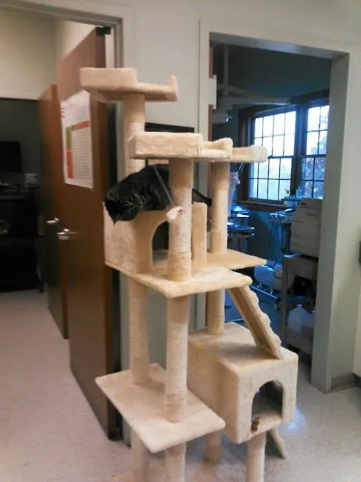 Monongahela Animal Hospital 9