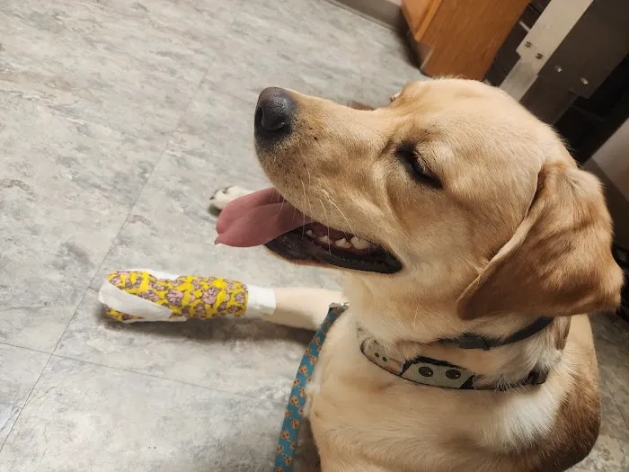 Pleasant Hills Pet Hospital 6