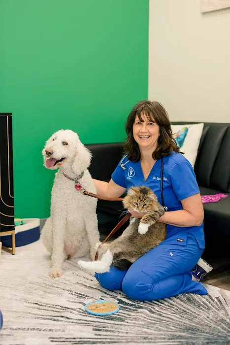 PetVet365 Pet Hospital Pittsburgh / South Hills 7