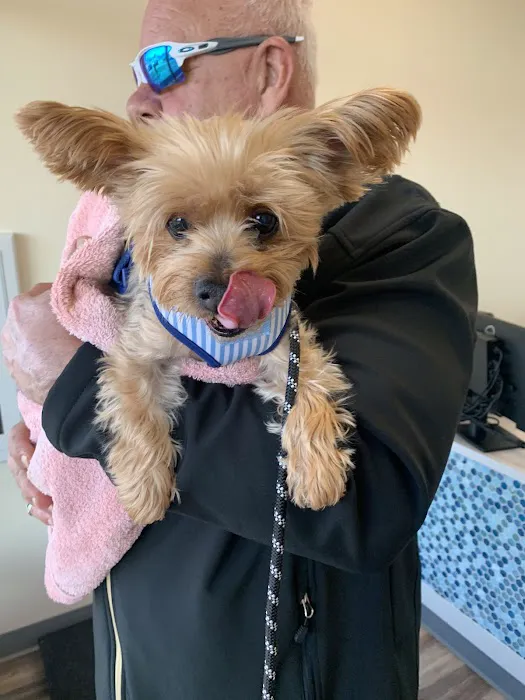 PetVet365 Pet Hospital Pittsburgh / South Hills 1
