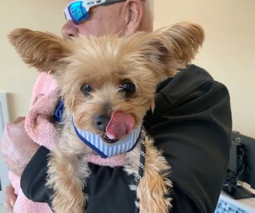 PetVet365 Pet Hospital Pittsburgh / South Hills