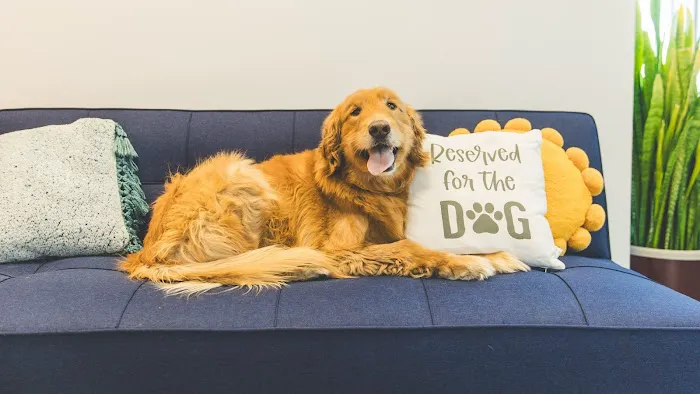PetVet365 Pet Hospital Pittsburgh / South Hills 2