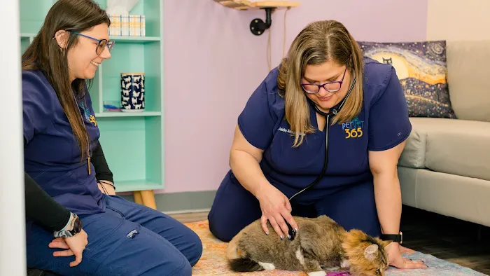PetVet365 Pet Hospital Pittsburgh / South Hills 4