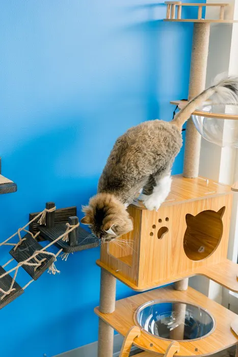PetVet365 Pet Hospital Pittsburgh / South Hills 8