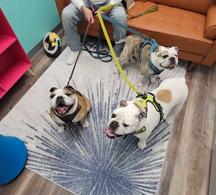 PetVet365 Pet Hospital Pittsburgh / South Hills 9