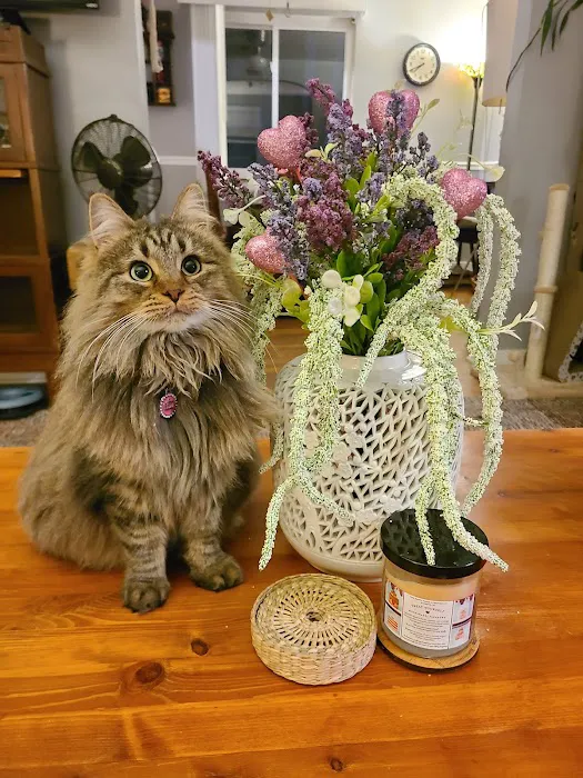 Cheyenne Veterinary Wellness & Surgical Center 9