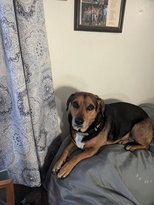 Banfield Pet Hospital 7