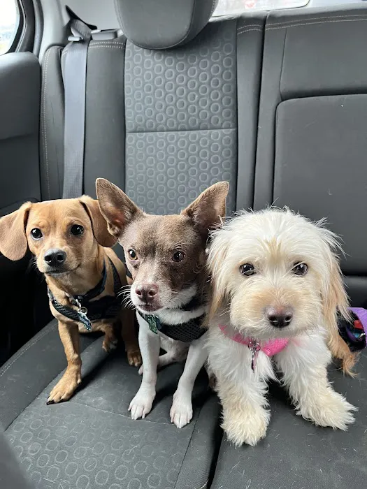 Banfield Pet Hospital 1