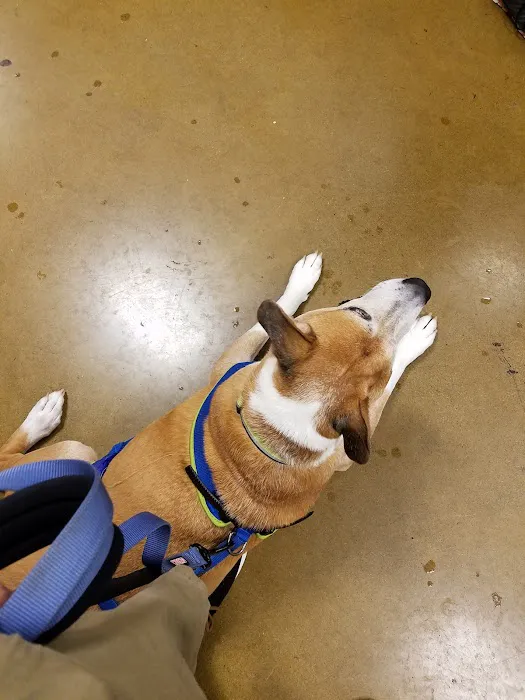 Banfield Pet Hospital 9