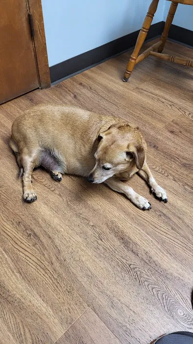 Harts Run Veterinary Hospital 8