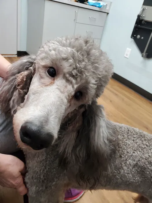 Harts Run Veterinary Hospital 5