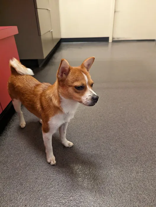 East End Veterinary Medical Centre 7
