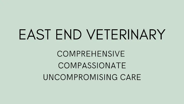 East End Veterinary Medical Centre 1