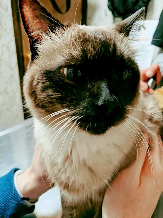 Greenfield Veterinary Hospital 6