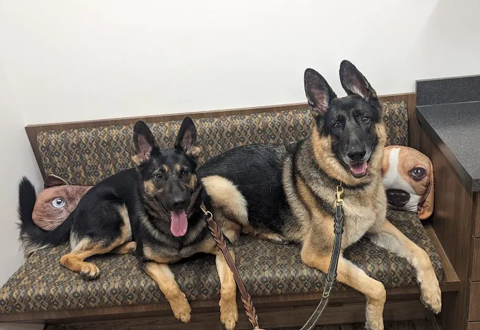 Greenfield Veterinary Hospital 1