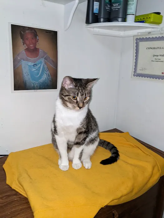 Banfield Pet Hospital 6