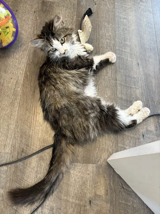 Banfield Pet Hospital 5