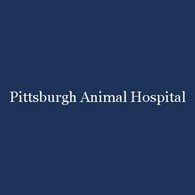 Pittsburgh Animal Hospital 3