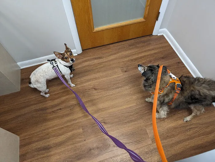 Point Breeze Veterinary Clinic 2