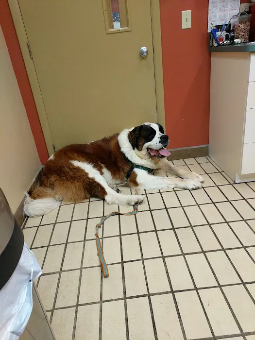 Point Breeze Veterinary Clinic 6