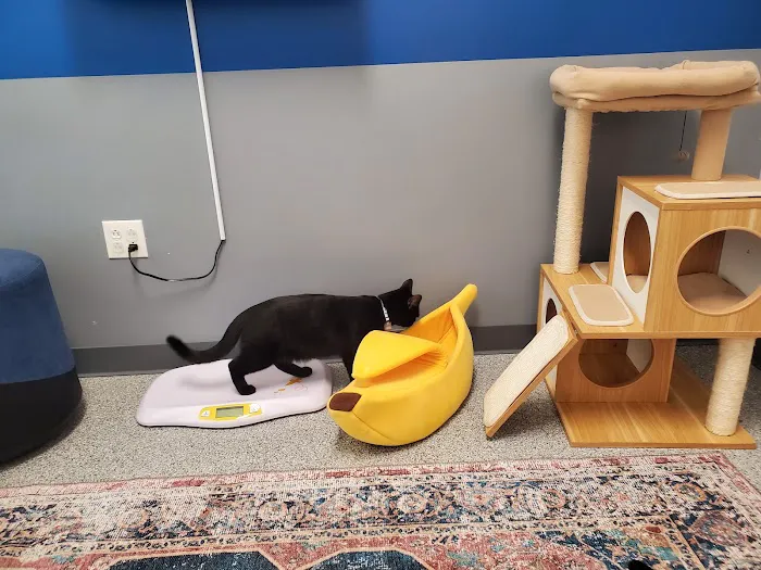 PetVet365 Pet Hospital Pittsburgh/Fox Chapel 4