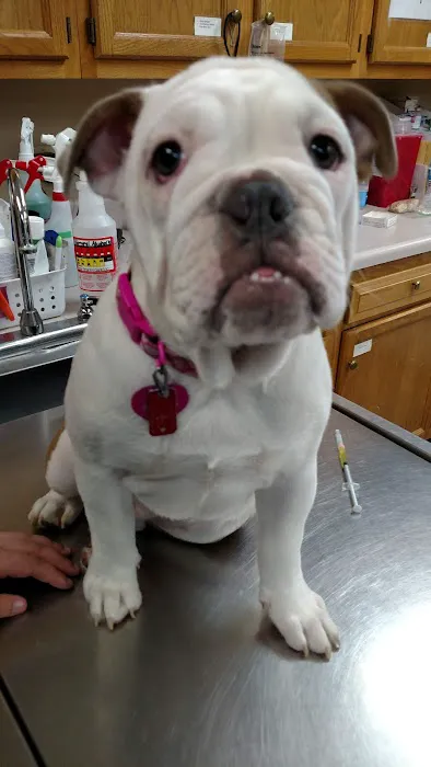Franklin Animal Clinic Inc 6