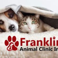 Franklin Animal Clinic Inc ico