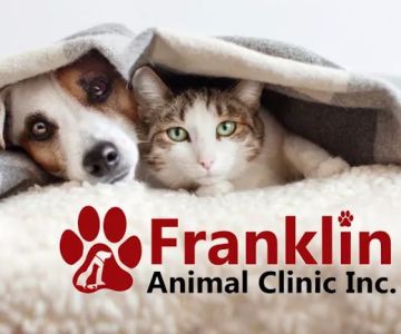 Franklin Animal Clinic Inc