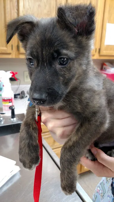 Franklin Animal Clinic Inc 7