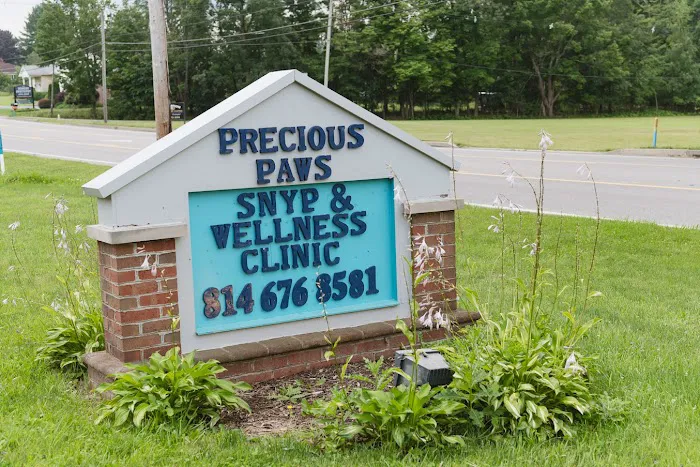 Precious Paws 9