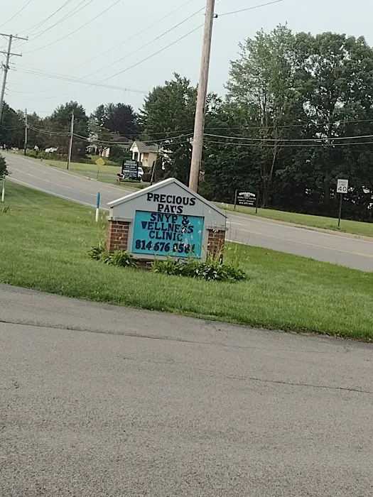 Nelson's Animal Clinic 2