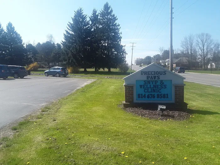 Nelson's Animal Clinic 10