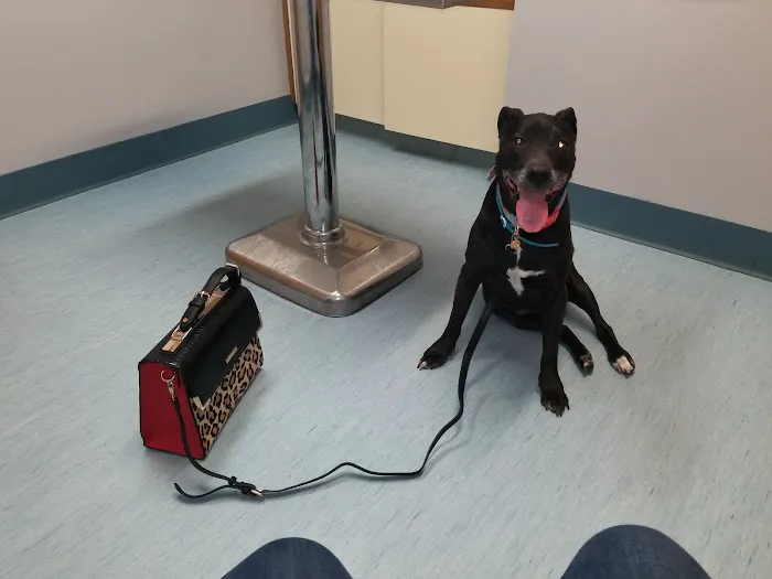Saxony Animal Clinic 9