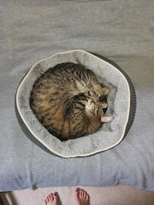 Perry Pet Clinic, LLC 1