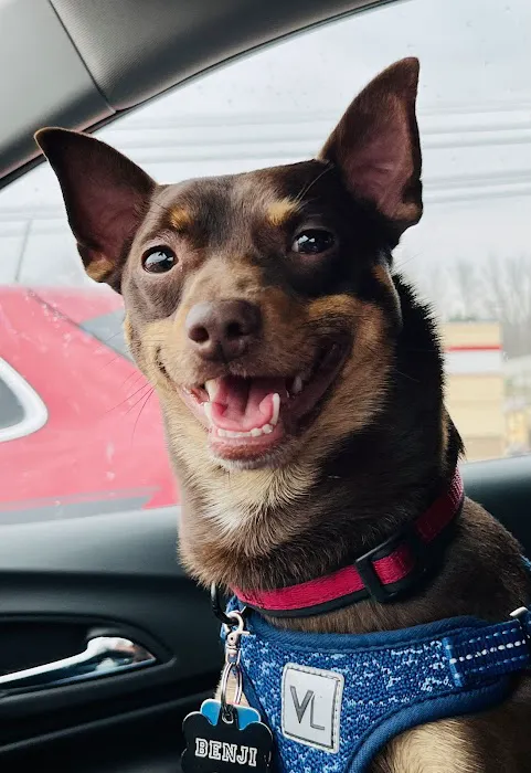 Perry Pet Clinic, LLC 10