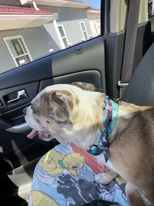 Perry Pet Clinic, LLC 9