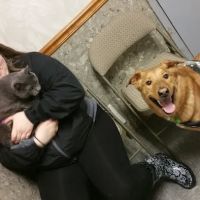 Summit Pet Hospital & Care Center ico