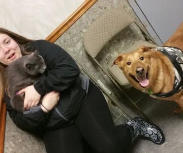 Summit Pet Hospital & Care Center