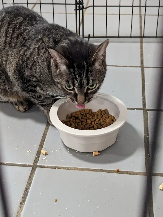 Summit Pet Hospital & Care Center 2