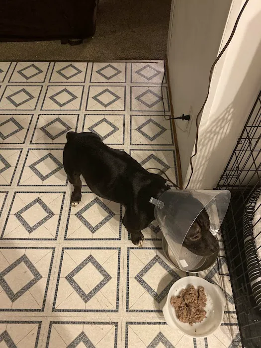 Summit Pet Hospital & Care Center 7
