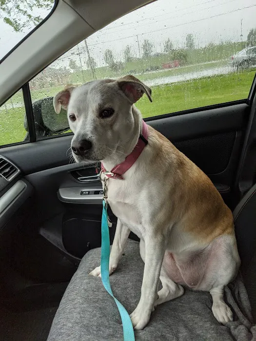 Erie Humane Society Pet Wellness Clinic 9