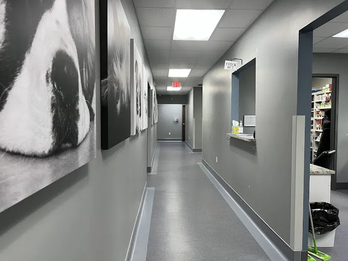 Glenwood Pet Hospital 6